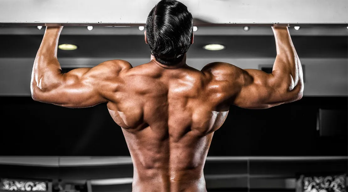 SARMs kaufen: Effektiv und sicher bei Fatburnerking