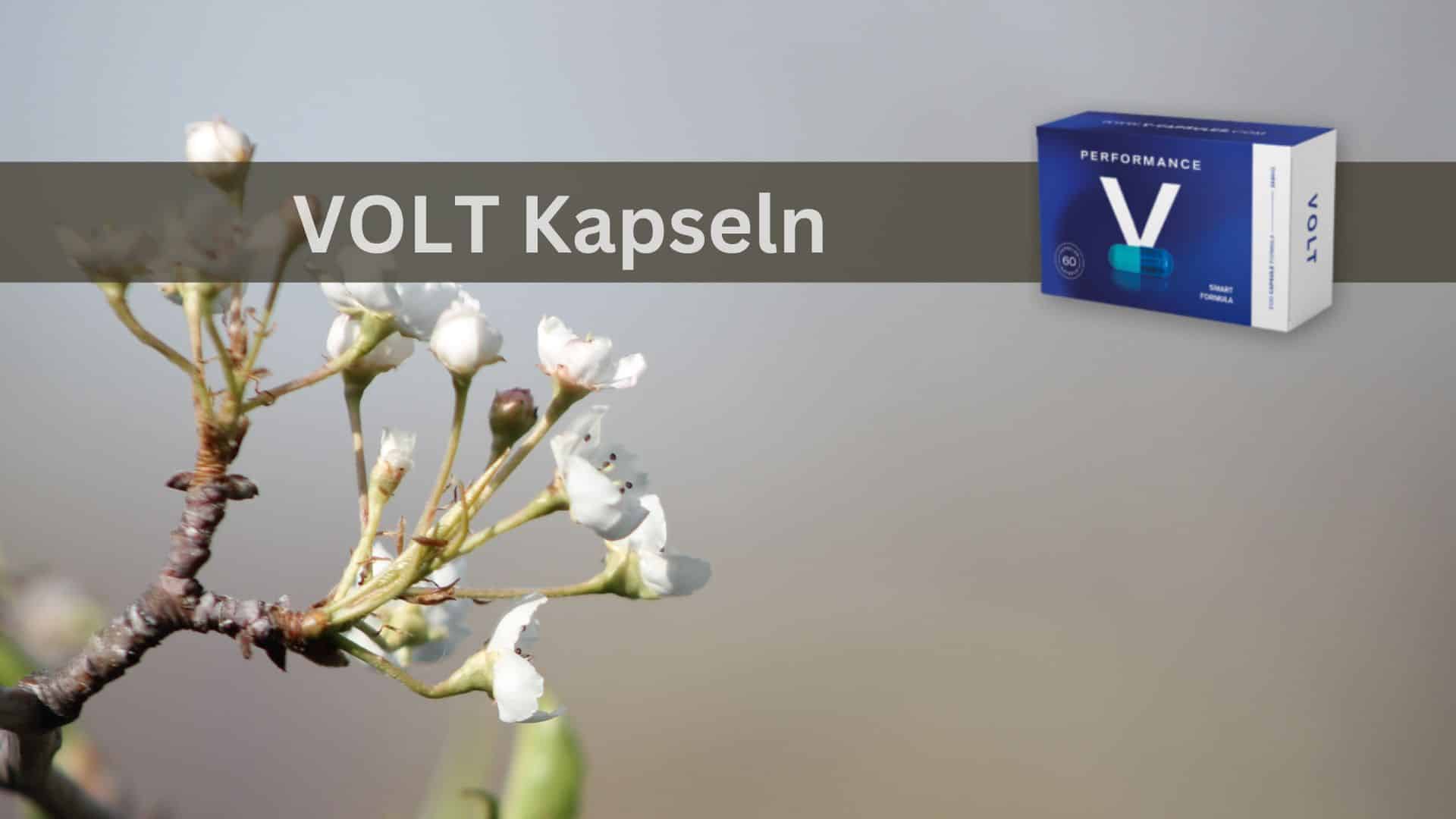 Volt Performance V Capsules und die Verbesserung der männlichen Funktion