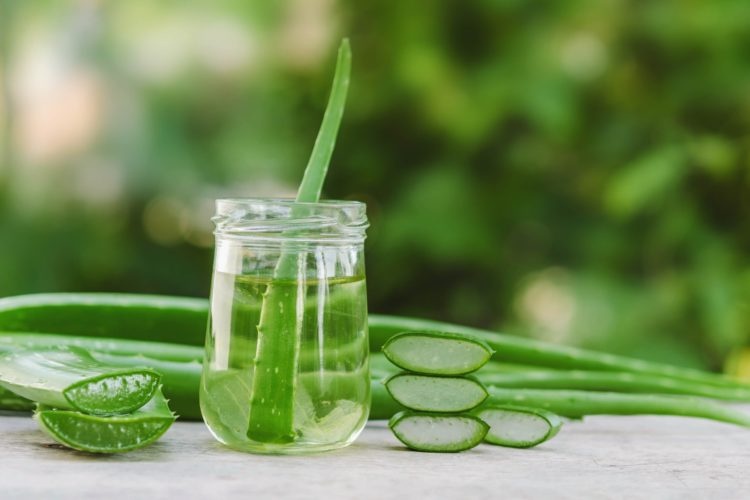 Unabhängiger Distributor von Forever Living Products über die Wirkung der Aloe Propolis Creme